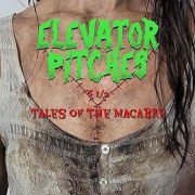 Elevator Pitches