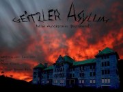 Geitzler's Asylum