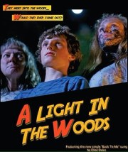 A Light in the Woods