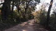 The Stalker of Lady Bird Lake Part IV: A Location Scouting Film