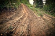 The Muddy Hill