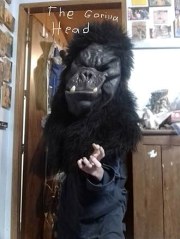 The Gorilla Head