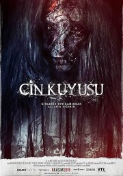 Cin Kuyusu