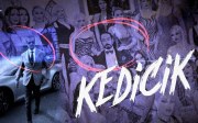 Kedicik