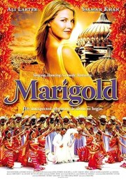Marigold
