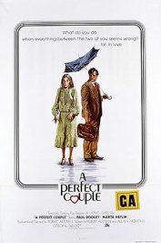 A Perfect Couple