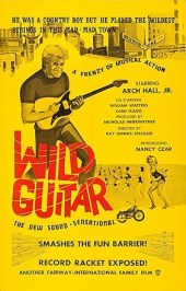 Wild Guitar