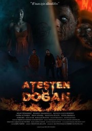 Atesten Dogan
