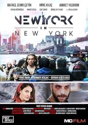 New York in New York