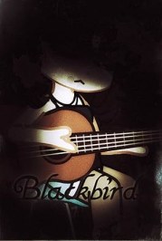 Blackbird