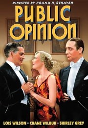 Public Opinion