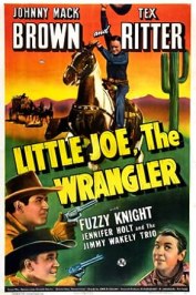 Little Joe, the Wrangler