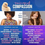 Voices of Compassion II