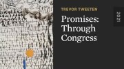 Promises: Through Congress