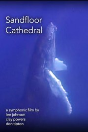 Sandfloor Cathedral