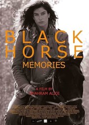 Black Horse Memories