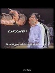 Fluxconcert
