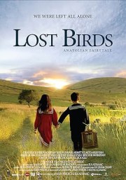 Lost Birds