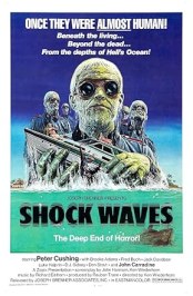 Shock Waves