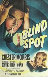 Blind Spot