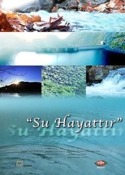 Su Hayattir