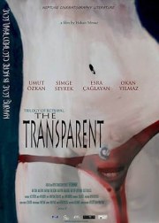 The Transparent
