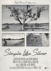 Simple Like Silver