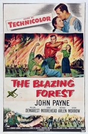 The Blazing Forest