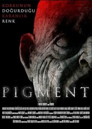Pigment