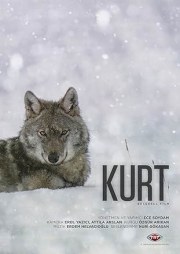 Kurt