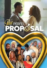 The Perfect Proposal