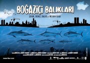 Fish of Bosphorus