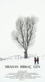A Few Ordinary Days