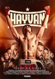Hayvan