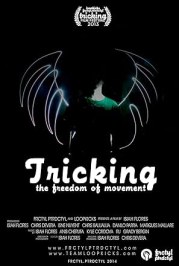 Tricking: The Freedom of Movement