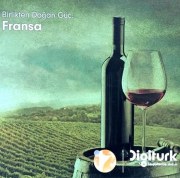 Birlikten dogan güç: Fransa