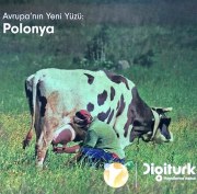 Avrupa'nin Yeni Yüzü: Polonya