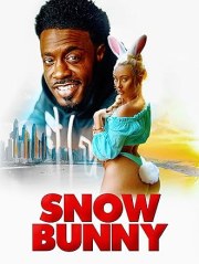 Snow Bunny Chronicles