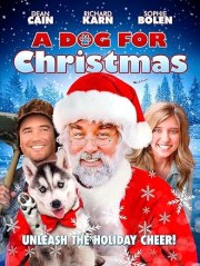 A Dog for Christmas