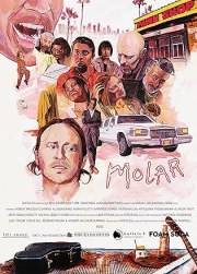 Molar