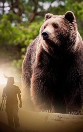 Tracking the Brown Bear