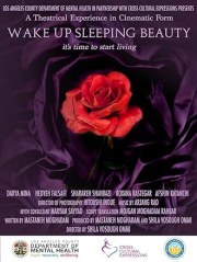 Wake Up Sleeping Beauty