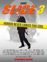 Slice 3