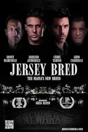 Jersey Bred