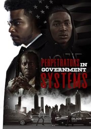 Perpetrators in Government Systems