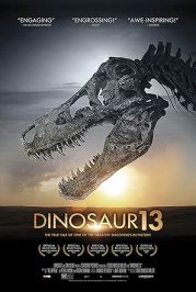 Dinosaur 13
