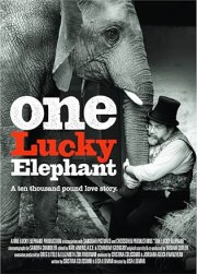 One Lucky Elephant