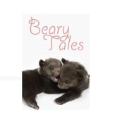 Beary Tales