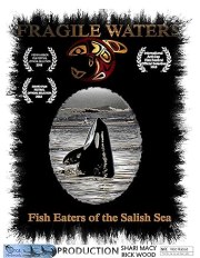 Fragile Waters