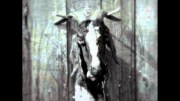 Slipknot: Goat - The 10th Anniversary of Iowa